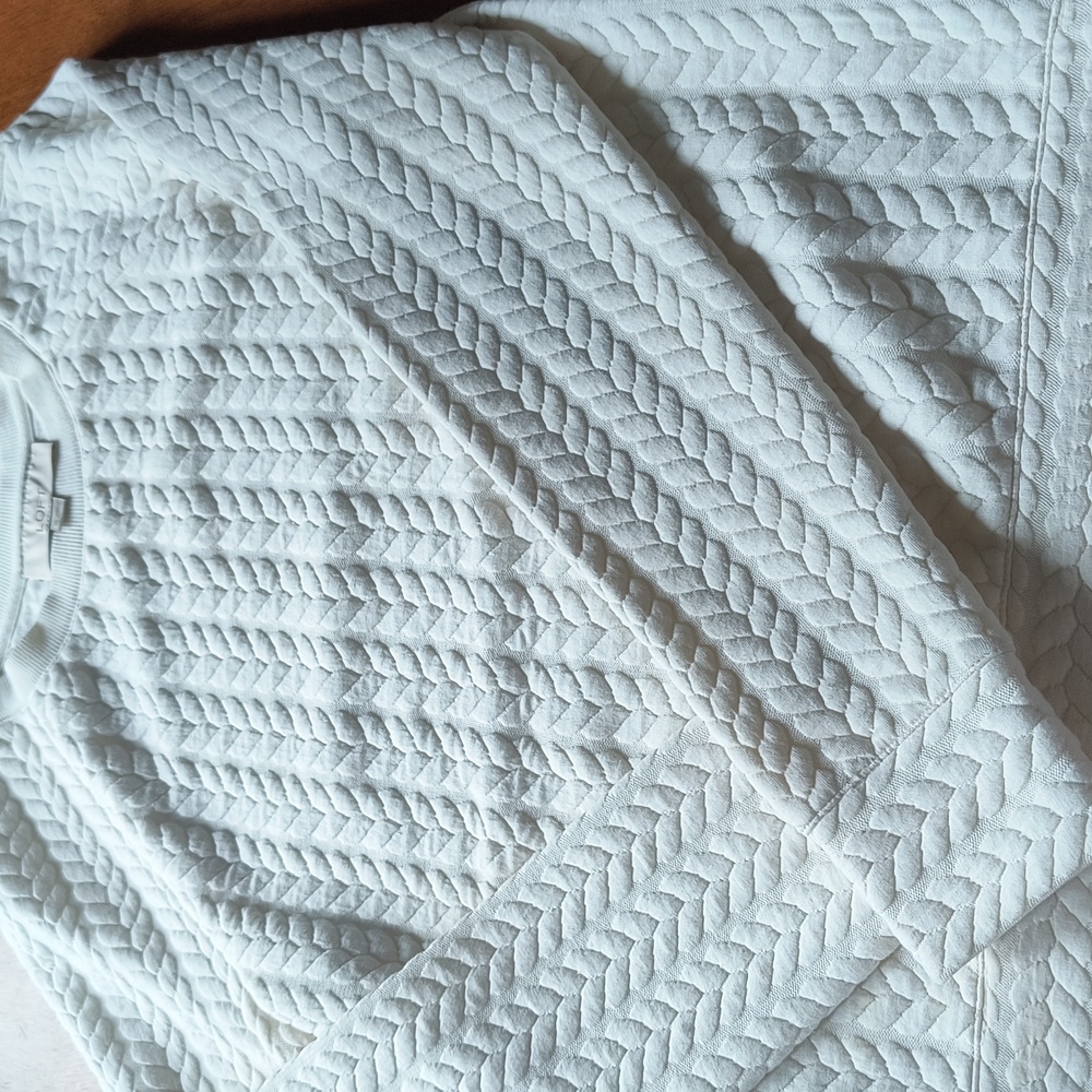 Anne Taylor sweater